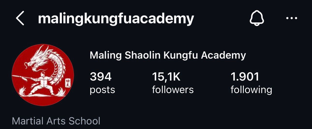 Before - Instagram followers