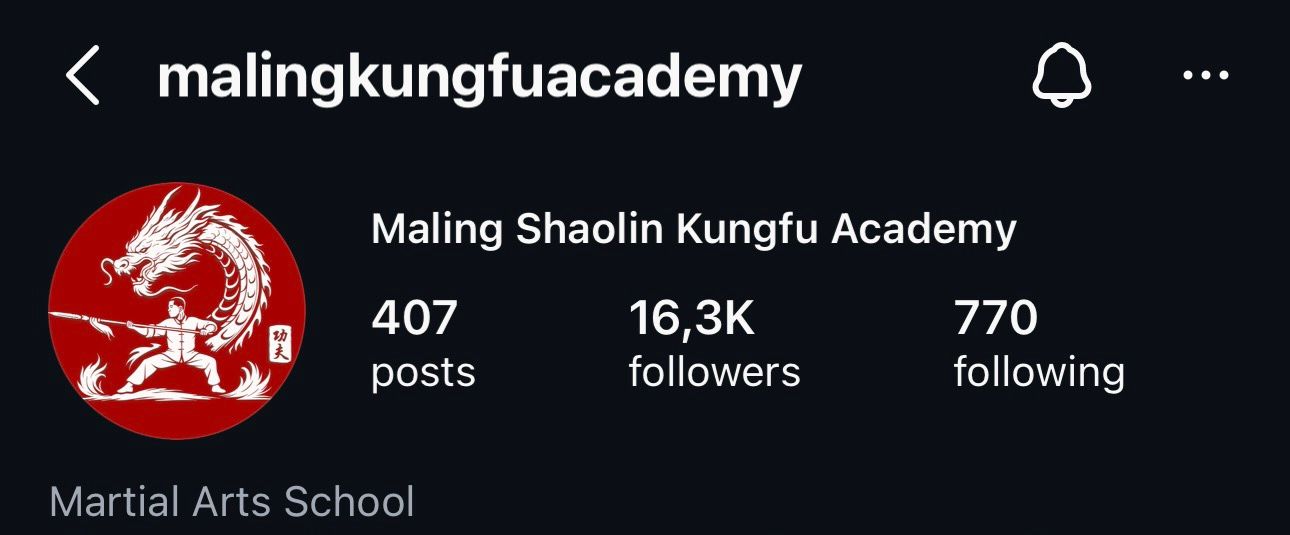 After - Instagram followers